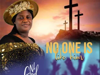 No One Is Like Him by Nk God